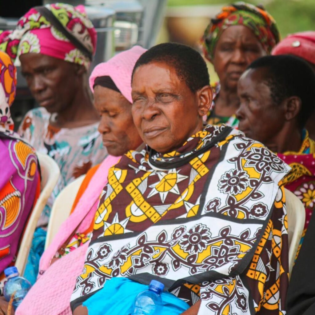 74E3119D-72B7-431E-8786-2DB40AA5AACB